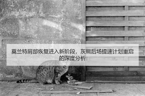 莫兰特肩部恢复进入新阶段，灰熊后场提速计划重启的深度分析