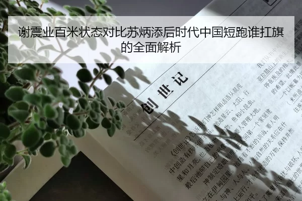 谢震业百米状态对比苏炳添后时代中国短跑谁扛旗的全面解析