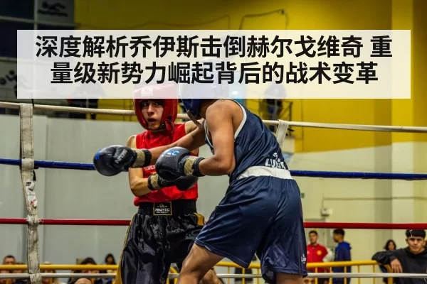 深度解析乔伊斯击倒赫尔戈维奇 重量级新势力崛起背后的战术变革