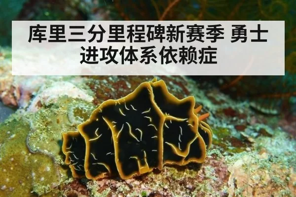 库里三分里程碑新赛季 勇士进攻体系依赖症